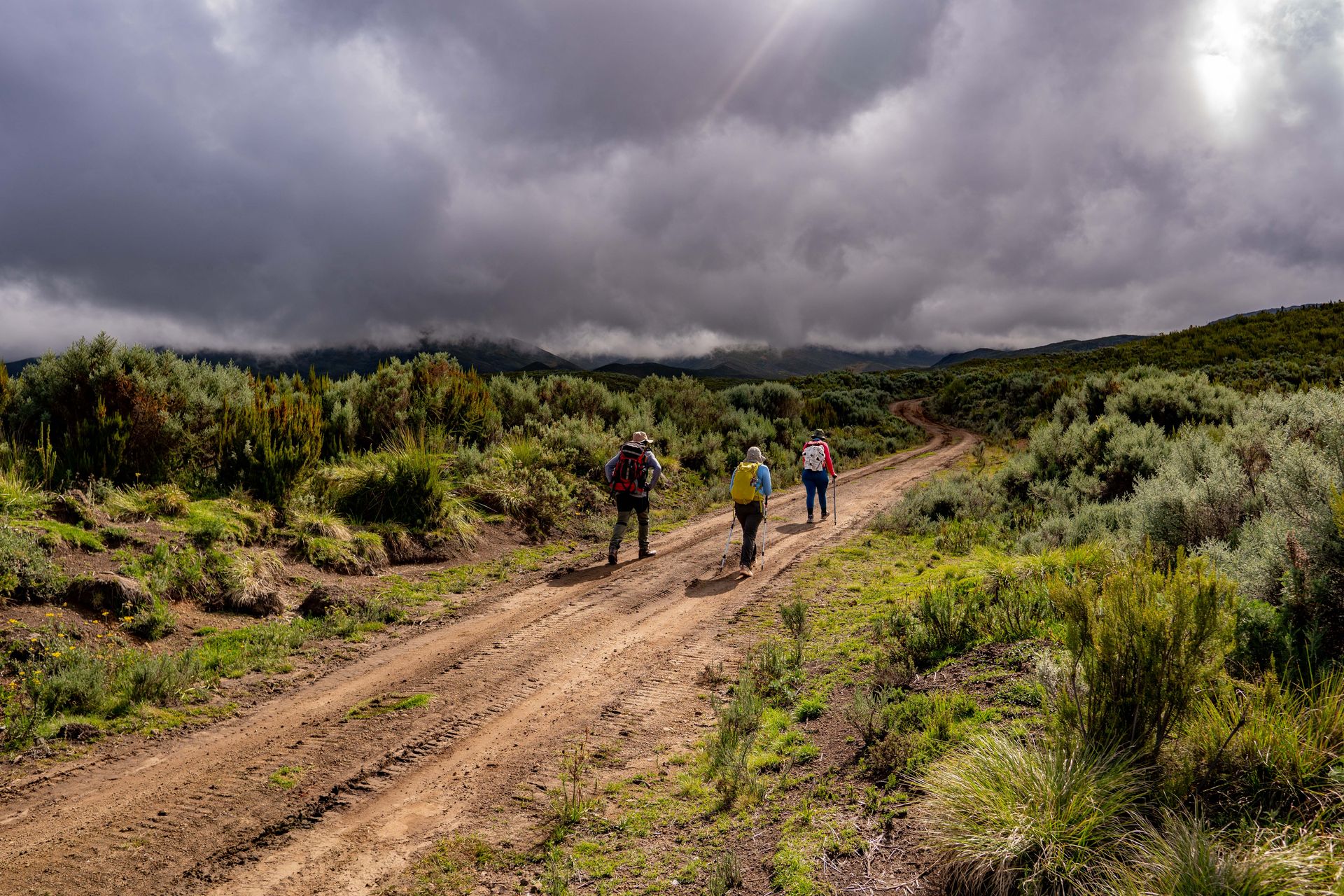Mount Kenya