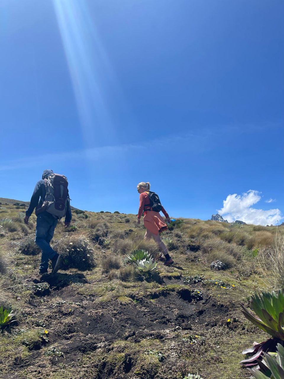 The Laikipia Plateau: An Untamed Wilderness of&nbsp;Kenya